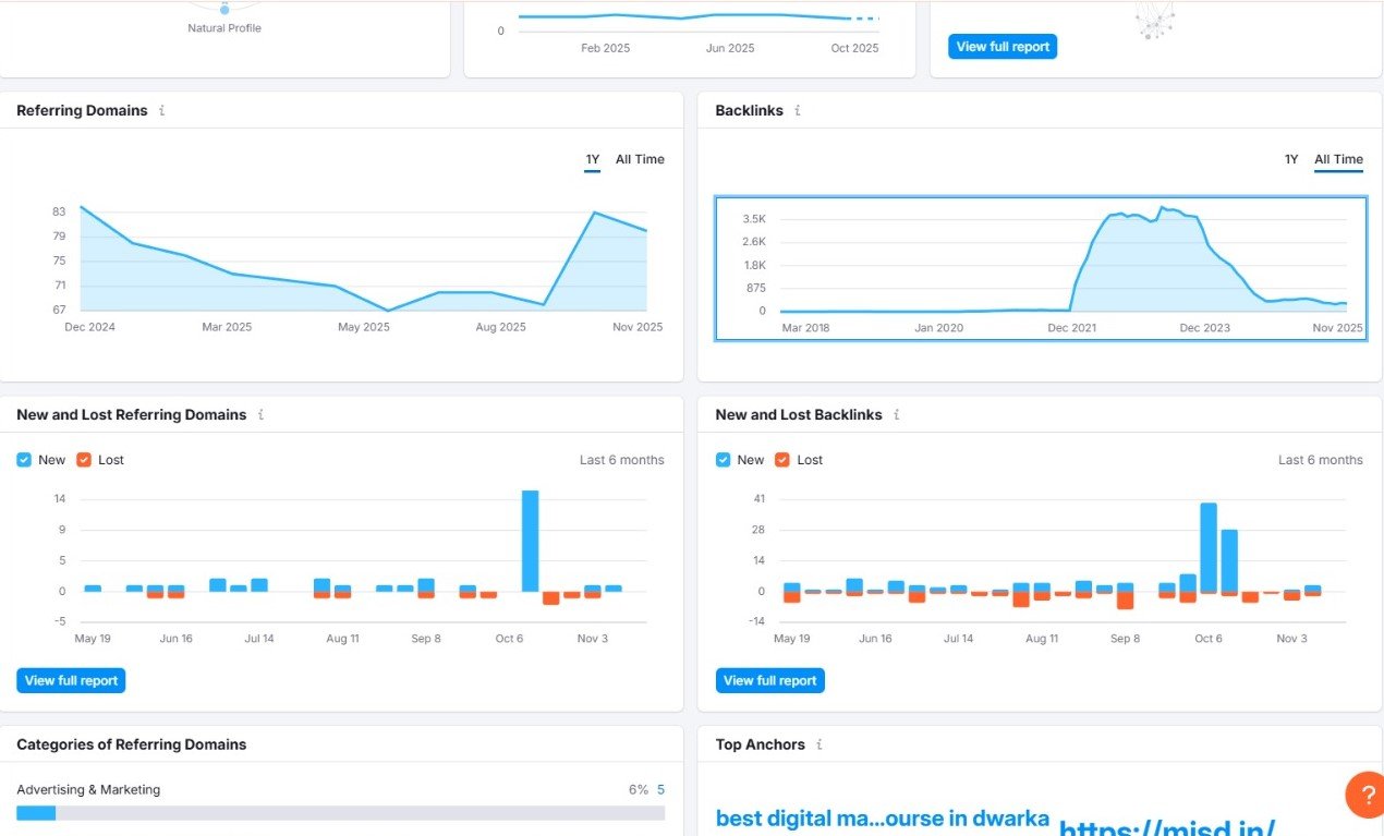 WhatsApp Image 2025-11-19 at 7.04.58 AM